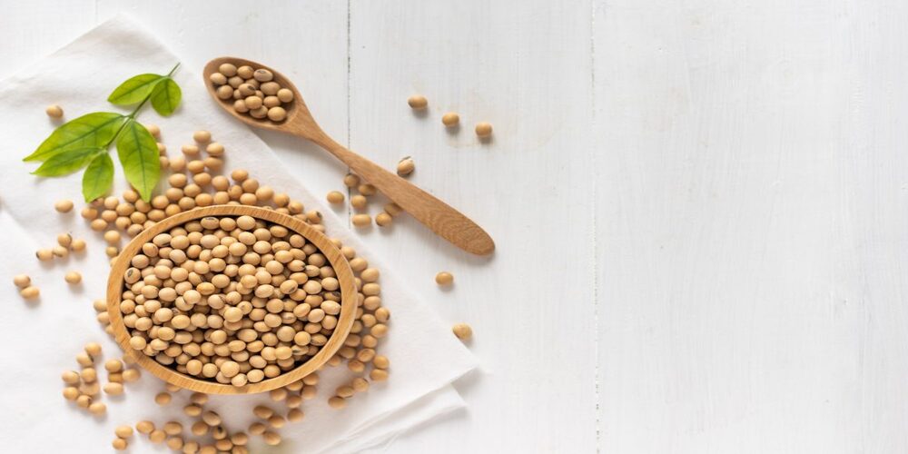 Soy Protein Concentrates — All You Need to Know!